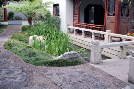 Chinese Garden Nov14 Pic04 - Our Highland Garden
