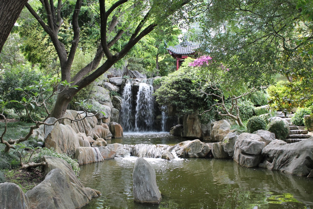 Sydney Chinese Gardens, photo 11.