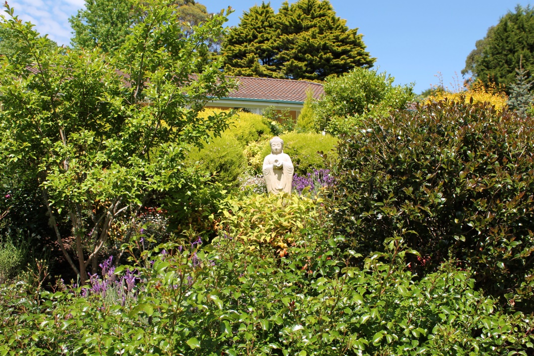Buddha statue surrounded by shrubs.