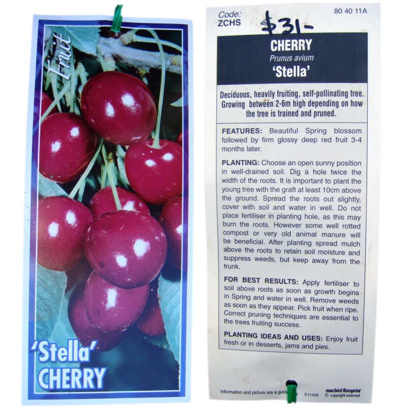 Stella cherry guidelines