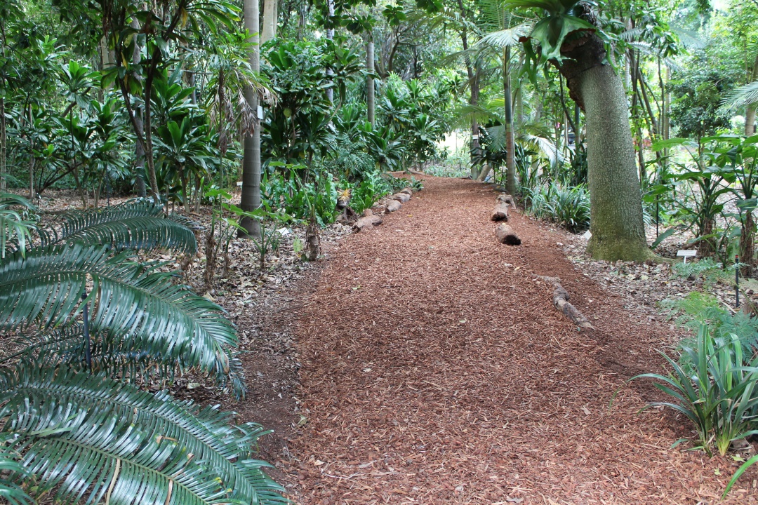 Sydney Botanical Gardens visit during winter 2014